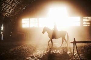 majestätisk bild av häst häst siluett med ryttare på solnedgång bakgrund. flickjockeyn på ryggen av en hingst rider i en hangar på en gård och hoppar över ribban. begreppet ridning foto