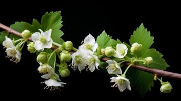 ai genererad vår blommar, delikat vit blommor på gren foto