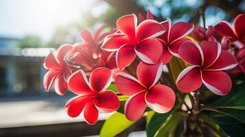 ai genererad vibrerande rosa plumeria blommor i solljus foto