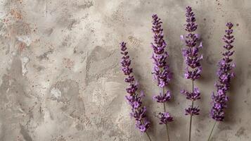 ai genererad en lugn design med en få lavendel- blooms på de topp foto