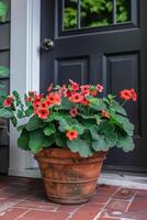 ai genererad blomma pott eller planter som innehåller pelargoner, calibrachoas foto