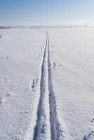 spår av skidor, de väg lagd förbi en turist skidåkare, en vinter- fe- berättelse, de lugn och tystnad av natur. en frostig solig dag. foto