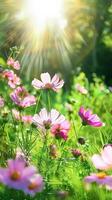 ai genererad vibrerande array av cosmo blommor blomning i en frodig trädgård under springtime foto