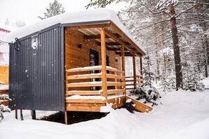 modul- hus tillverkad av mörk metall och ljus trä i vinter- skog. en hus den där tar in i konto allt du behöver för en bekväm liv utanför de stad. foto