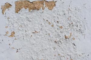 texturerad vägg. peeling plåster på de vit vägg. åldrig vägg beläggning. texturerad yta i de omgivande miljö. renovering nödvändig foto