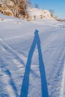 de skugga av en person är visas på de snö. de landskap, de översikt av en person står på två ben. foto