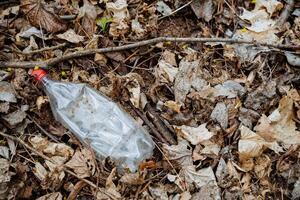 en plast flaska lögner i de skog i torr löv, förorening av natur, hushåll avfall, återvinningsbar rå material, förorening av de planet jorden. ekologi problem foto