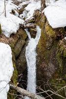 en vattenfall på en berg ström, vår smältvatten flöden i en berg klyfta, snö lögner på de kanter av en klippa, en ravin i de skog med faller vatten. foto
