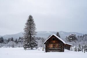 ett gammal jägmästarens hus. vinter- skog landskap. en stor träd nära förbi. i de bakgrund av de berg. de endast hus i de mitten av en fält. foto