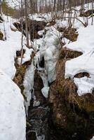 en ravin i en vinter- skog, is hängd på en sten, en vår skog kanjon med vattenfall, smältande snö i de berg, taiga i Ryssland, en tina. foto