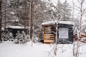 modul- hus tillverkad av mörk metall och ljus trä i vinter- skog. en hus den där tar in i konto allt du behöver för en bekväm liv utanför de stad. foto