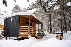 modul- hus tillverkad av mörk metall och ljus trä i vinter- skog. en hus den där tar in i konto allt du behöver för en bekväm liv utanför de stad. foto