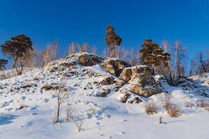 en berg av sten mot en blå himmel. en sällsynt skog växer på de fjäll, en vinter- landskap. foto