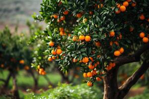 ai genererad mandarin träd i nordlig iran. foto