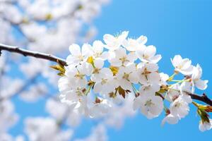 ai genererad skön vit körsbär blommar i vår parkera. foto