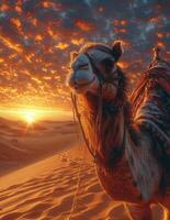 ai genererad kamel stående i främre av skön solnedgång i de öken- foto
