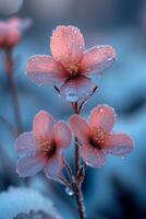ai genererad blommor av japansk kvitten täckt med is kristaller foto