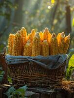 ai genererad majs är häfta mat i många länder runt om de värld foto