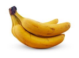 mogen bananer. exotisk tropisk gul frukt. banan symbol av hälsa vård och välbefinnande. foto