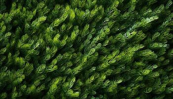 ai genererad färsk grön löv växa i en vibrerande tropisk skog genererad förbi ai foto
