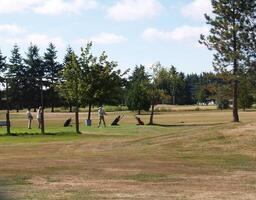 carmichael, ca, 2011 - tre män på golf kurs tee ett svängande klubb foto