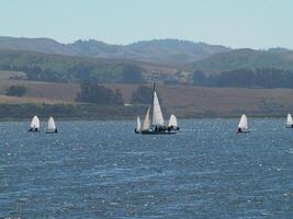 sausalito, ca, 2008 - små segelbåtar segling på san francisco bukt kullar i bakgrund foto