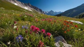 ai genererad alpina sagoland vild blomning i hög berg ängar foto