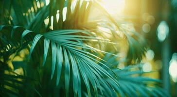 ai genererad frodig grön handflatan löv sola i mjuk solljus, skildrar en lugn naturlig miljö foto