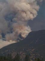 rök från vild brand fyllning himmel nära yosemite nationell parkera foto