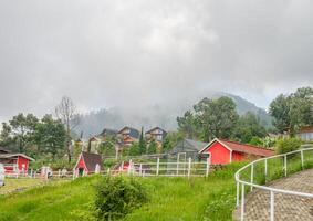 landskap trädgård och berg bandungan semarang central java. de Foto är lämplig till använda sig av för äventyr innehåll media, natur affisch och skog bakgrund.