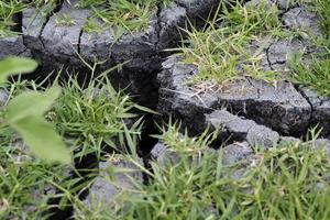 knäckt torkades grå lera med grön gräs foto