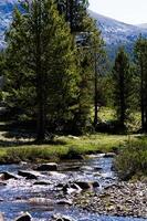 merced flod löpning genom yosemite nationell parkera kalifornien foto