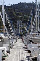 sausalito, ca, 2011 - se ner docka med segelbåtar i glider foto