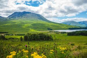 landskap av loch lomond på highlands i Skottland, förenad rike foto