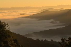 gyllene moln inversion soluppgång på en berg topp i appalachia foto