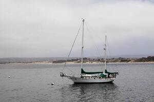 Monterey, ca, 2014 - två mastad trä- segelbåt förtöjd till boj på bukt foto