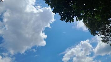 en blå himmel med moln och träd foto