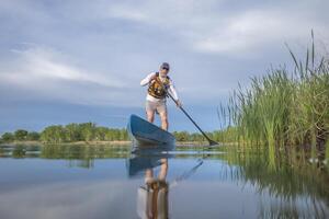 senior manlig paddlare är paddling en stå upp paddelbräda på en lugna sjö i vår, groda perspektiv från ett verkan kamera på vatten nivå foto