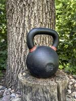 tung järn kettle i en bakgård under ek träd - utomhus- kondition begrepp foto