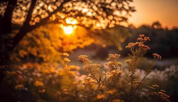 ai genererad solnedgång över äng, vibrerande blommor blomma i lugn natur genererad förbi ai foto