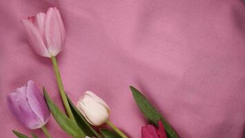 romantisk bukett rosa tulpan blommor på Mars 8 internationell kvinnors dag, mors dag med kopia Plats för klistra text. stänga upp, topp se foto