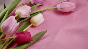 romantisk rosa tulpan blommor på Mars 8 internationell kvinnors dag, mors dag med kopia Plats för klistra text. stänga upp foto