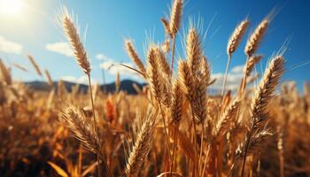 ai genererad vibrerande vete fält under sommar Sol, natur gyllene skörda genererad förbi ai foto