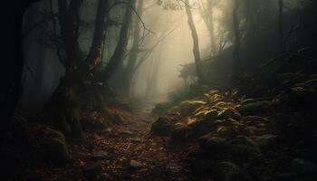 ai genererad mystisk höst skog, dimmig gångstig, läskigt träd, mörk skönhet genererad förbi ai foto