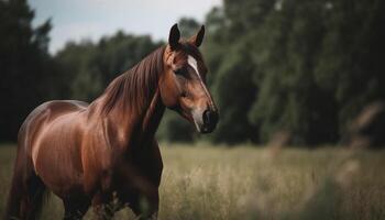 ai genererad skön häst betning i en grön äng på en bruka genererad förbi ai foto