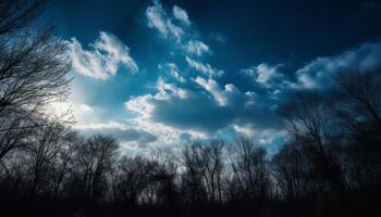 ai genererad silhuett av träd i mörk skog under lynnig himmel genererad förbi ai foto