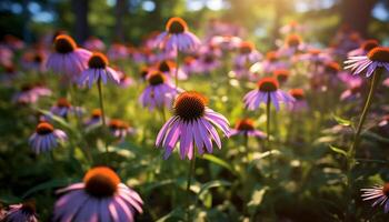 ai genererad vibrerande färger av natur blomma i sommar ängar genererad förbi ai foto
