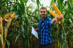 jordbrukare inspekterande majs majskolv på hans fält foto