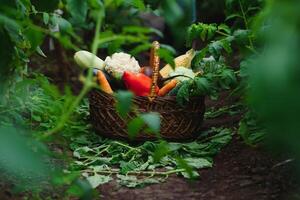 färsk höst grönsaker i en växthus foto