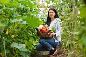 ung jordbrukare kvinna innehav färsk organisk vegetabiliska med korg på växthus hydroponiska organisk odla. ägare små företag entreprenör organisk vegetabiliska bruka och friska mat begrepp foto